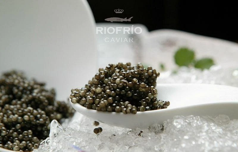 Image from Grupo Osborne